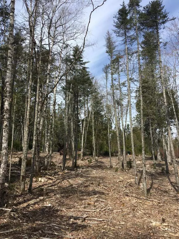 Steuben, ME 04680,Lot 14 Stillwater DR