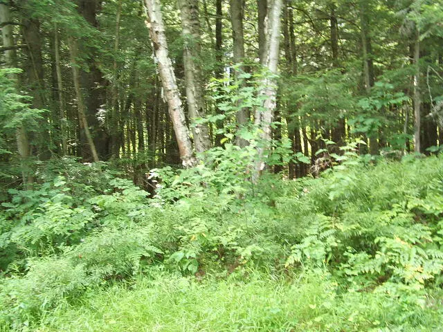 Limerick, ME 04048,0 Lot 362-363 Leisure LN