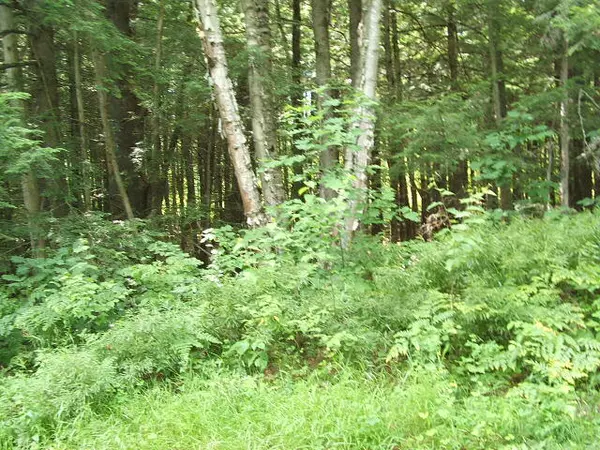 0 Lot 362-363 Leisure LN, Limerick, ME 04048