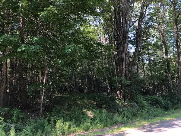 Sebec, ME 04426,00 E Downs Road