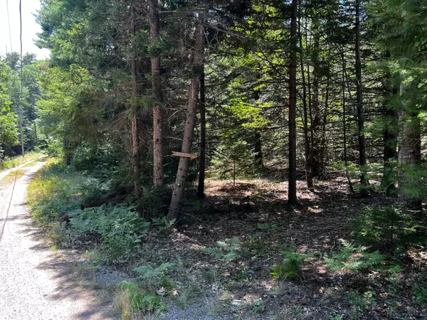 Gouldsboro, ME 04607,Lot 2 Lois LN