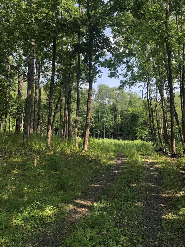 Rockport, ME 04856,0 Spear ST