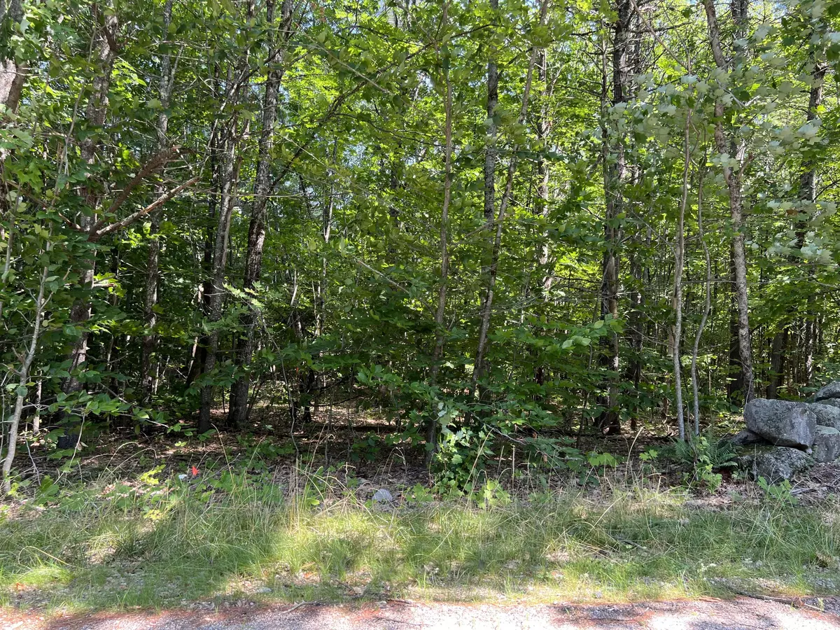 Limerick, ME 04048,TBD Burnham RD