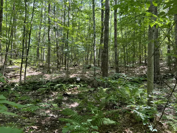 Limerick, ME 04048,TBD Burnham RD