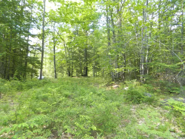 Brownfield, ME 04010,271 Riverbend RD