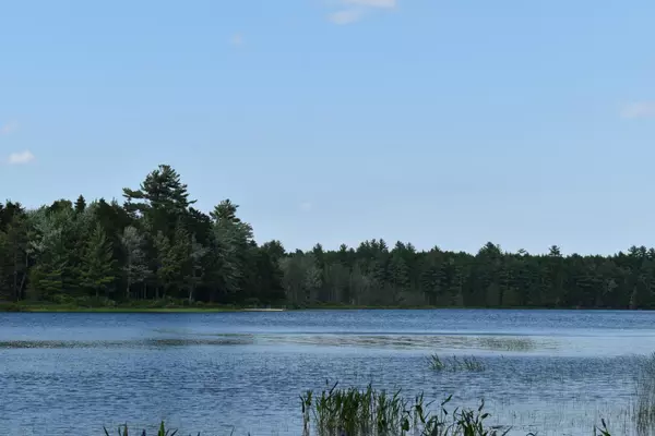 Lakeville, ME 04487,4.7 Acres Horseshoe Lake RD