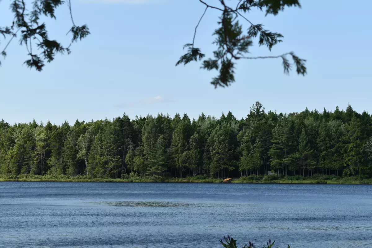 Lakeville, ME 04487,4.7 Acres Horseshoe Lake RD