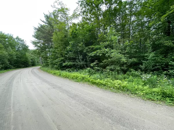 Newport, ME 04953,Lot 3A-5 Canadian Geese Drive