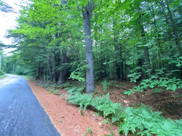 00 Wards Hill RD #Lot 2A, Baldwin, ME 04024