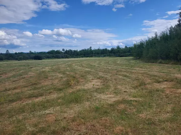 Merrill, ME 04780,Lot 1C Townline RD