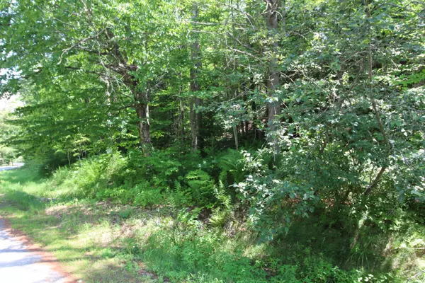 Rumford, ME 04276,82 Coburn Brook RD