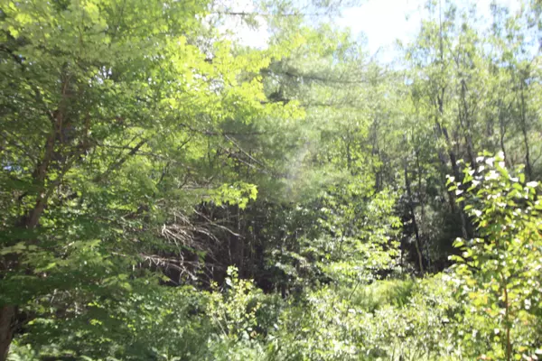 Rumford, ME 04276,82 Coburn Brook RD