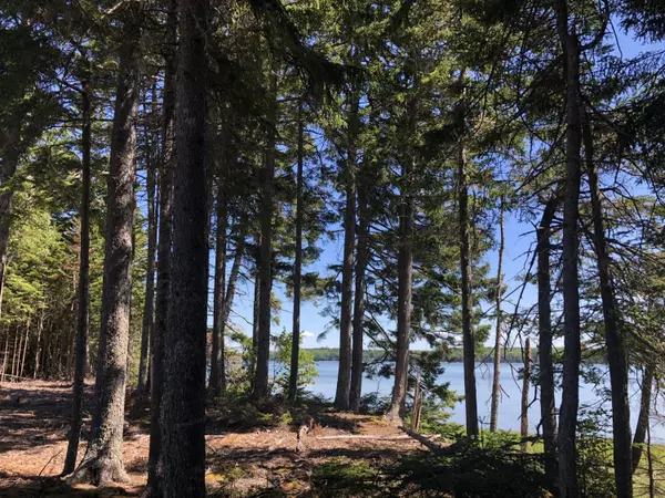 Milbridge, ME 04658,63 Birch Point RD