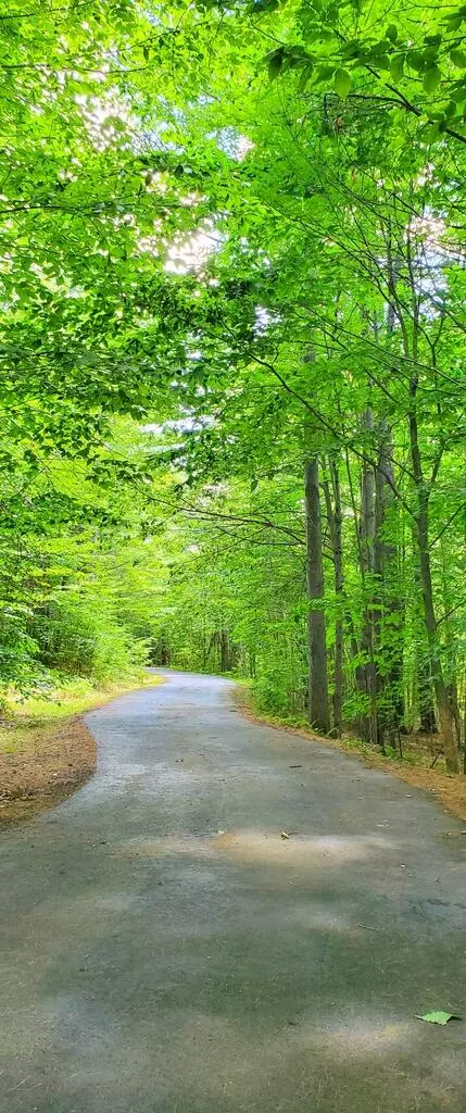 Wilton, ME 04294,81 Prospect ST