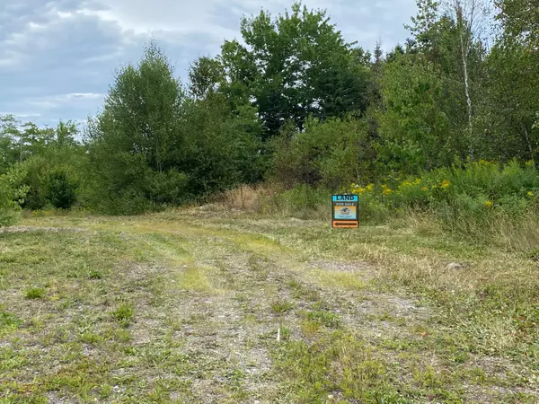 Whiting, ME 04691,TBD Yellow Birch RD