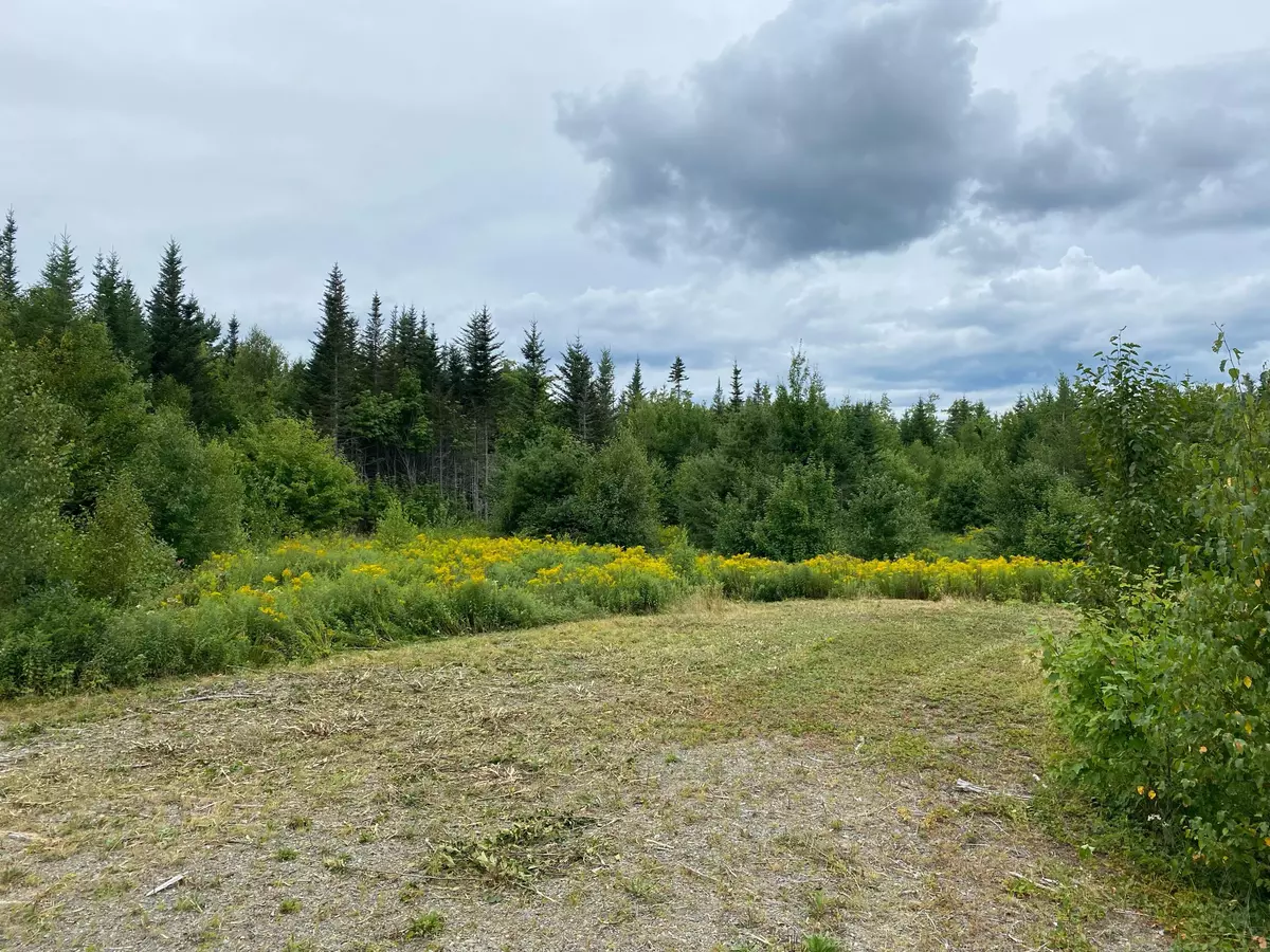 Whiting, ME 04691,TBD Yellow Birch RD