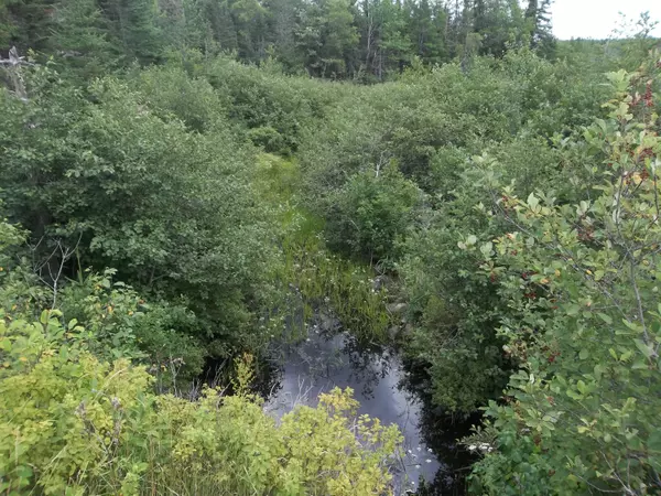 Marion Twp, ME 04657,x Route 86