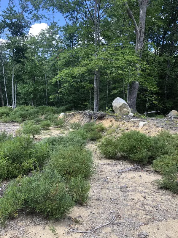 Lyman, ME 04002,0 Clarks Woods RD