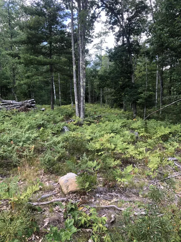 Lyman, ME 04002,0 Clarks Woods RD