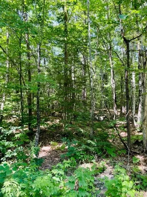 Vassalboro, ME 04989,00 Getchell Corner RD