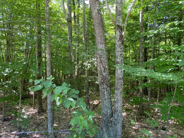 Hiram, ME 04041,18 Acres Tripptown RD