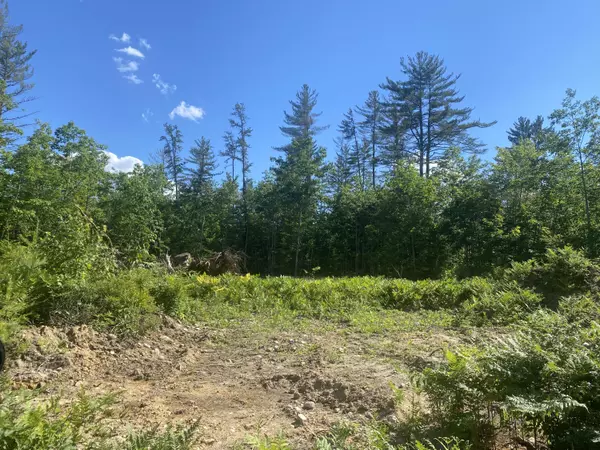 TBD Kezar Mountain Rd RD, Parsonsfield, ME 04047