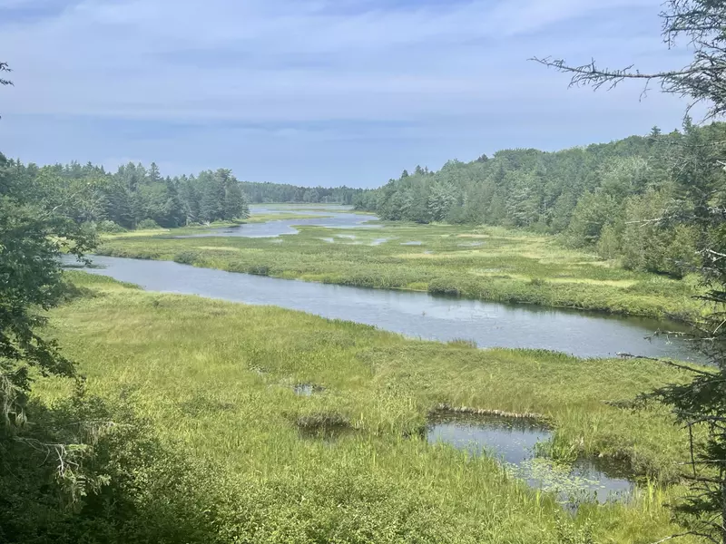 111 Dodge RD, Whiting, ME 04691