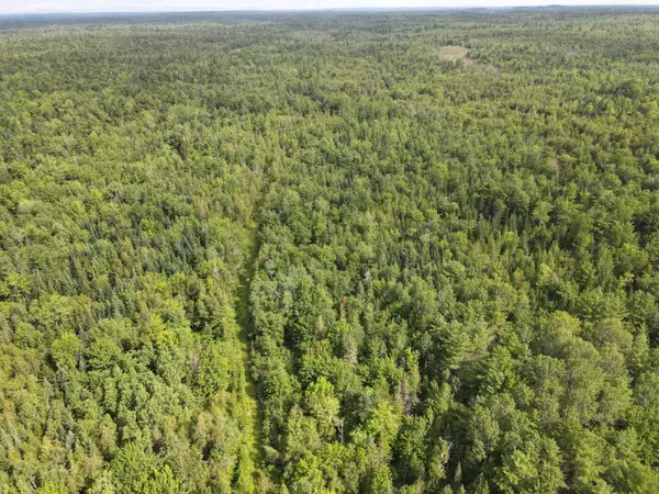 Alton, ME 04468,Lot 86-00 West Old Town RD