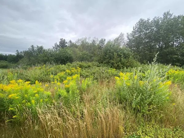 Saint Agatha, ME 04772,Map3Lt52A Main ST