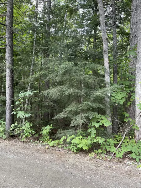 0 Juanita LN, Abbot, ME 04406