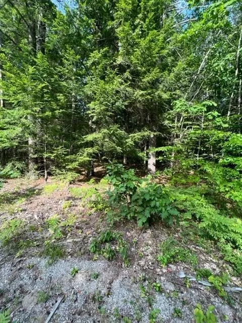 Limerick, ME 04048,Lots 107 GrandView DR