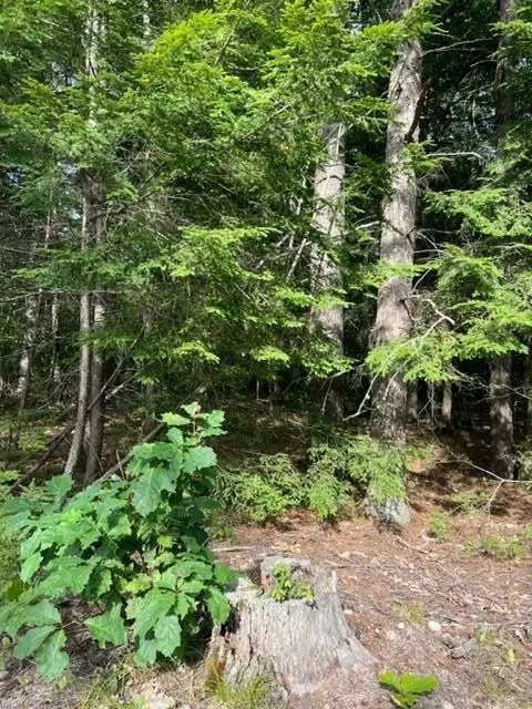 Limerick, ME 04048,Lots 107 GrandView DR