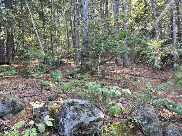 North Yarmouth, ME 04097,100 Lufkin RD