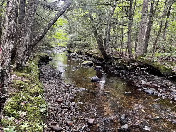 Sumner, ME 04292,484 Redding RD