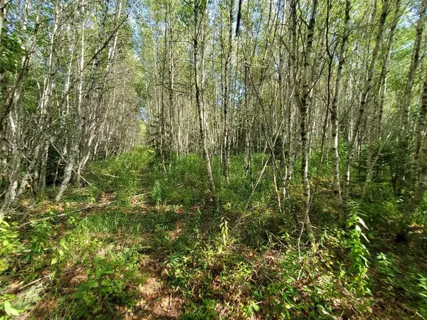 Lot 7 Sharon LN, Cherryfield, ME 04622