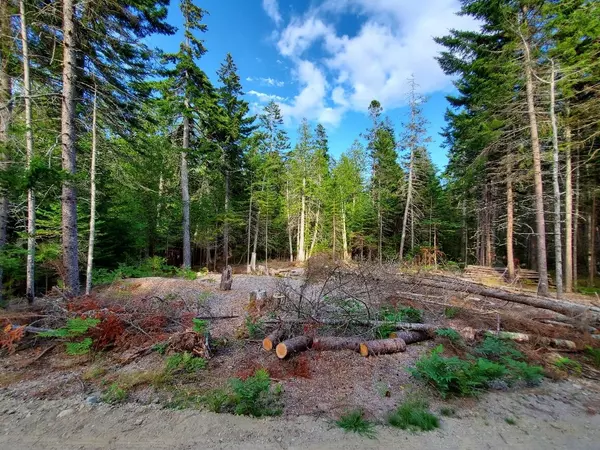 Winter Harbor, ME 04693,36 Ledge LN