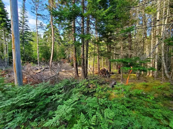 36 Ledge LN, Winter Harbor, ME 04693