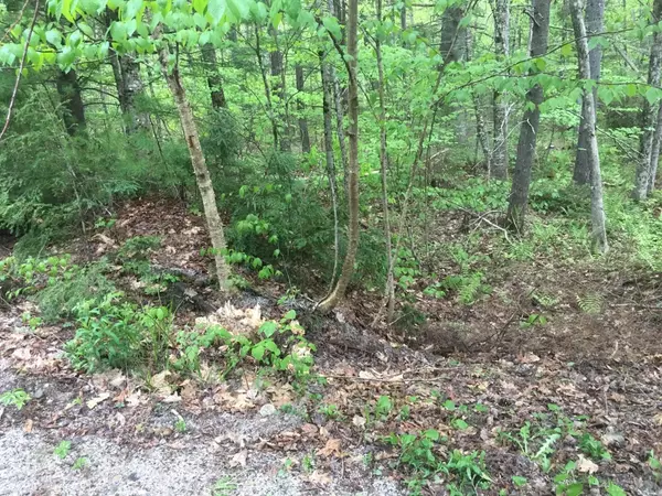 Limerick, ME 04048,48 Leisure LN