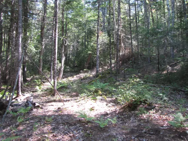 Wesley, ME 04686,Lot 1330 Beach Street