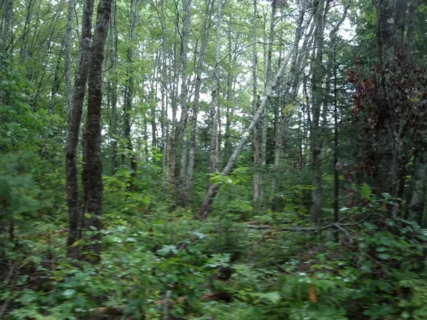 Waldoboro, ME 04572,00 Finntown RD