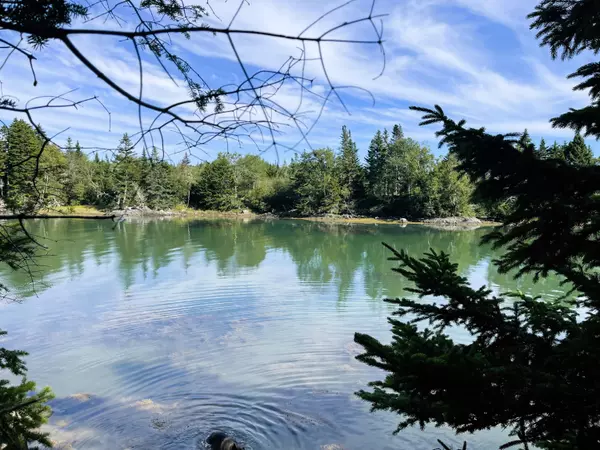 Lot 27 Old Wagon TRL, Roque Bluffs, ME 04654