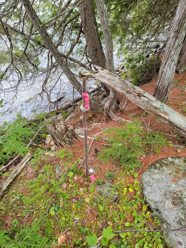 Lake View Plt, ME 04463,00-2 Railroadbed RD