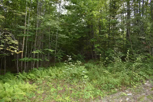 Lakeville, ME 04487,Off Dill Valley RD