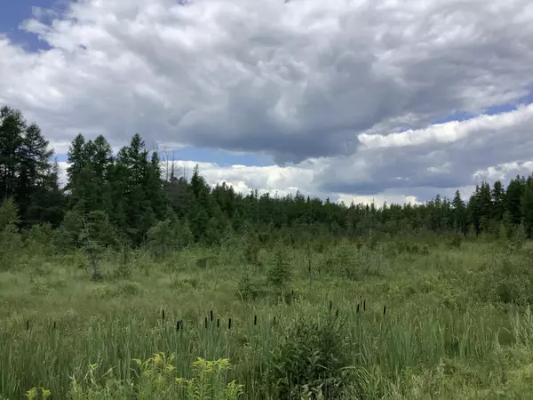 Woodland, ME 04736,Map5Lot14A Mcintyre RD