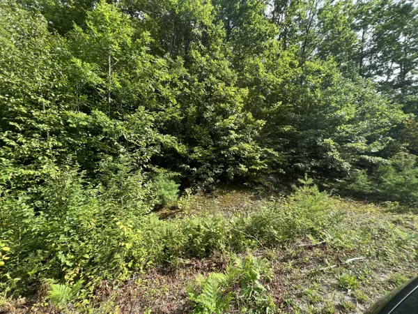 Gilead, ME 04217,Lot 4 Mountain Vista RD