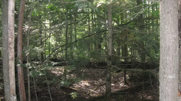 Howland, ME 04448,R6-05 Mattamiscontis RD