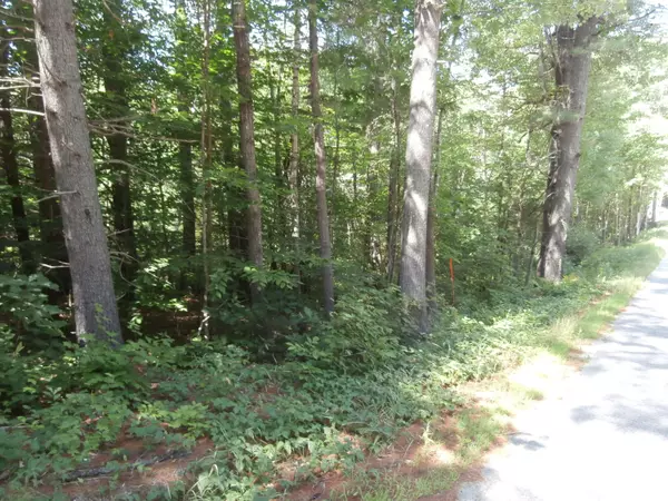 Limerick, ME 04048,00-Lot4 Quarry RD