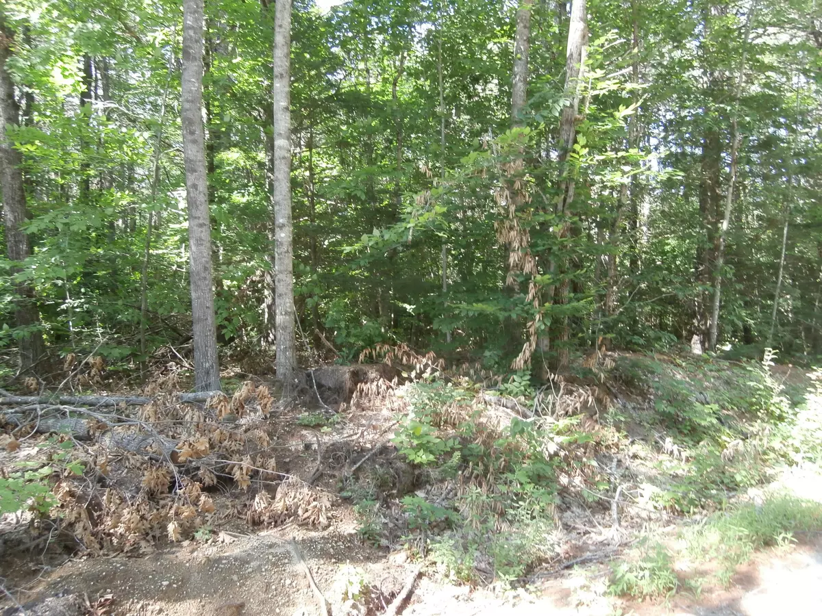 Limerick, ME 04048,00-Lot5 Quarry RD