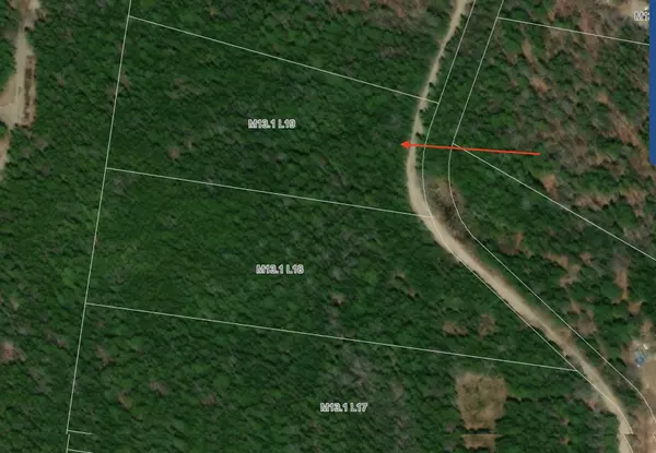 East Machias, ME 04630,0 High Head RD #Lot 19