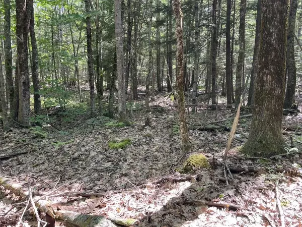 Nobleboro, ME 04555,Lot 7A Hutchings RD